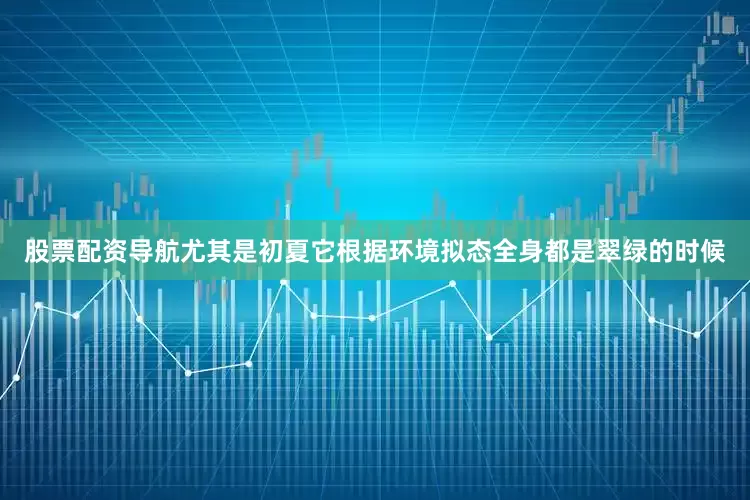 股票配资导航尤其是初夏它根据环境拟态全身都是翠绿的时候